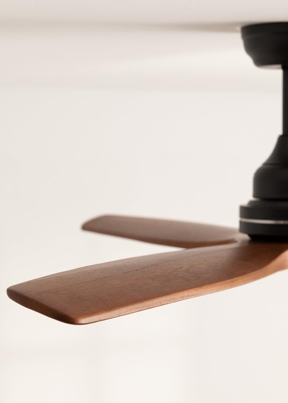 CREATE / WINDWOOD/Ventilador techo negro aspas madera oscura con mando / 75W, Silencioso, Ø132 cm, 3 velocidades, temporizador, 2 alturas