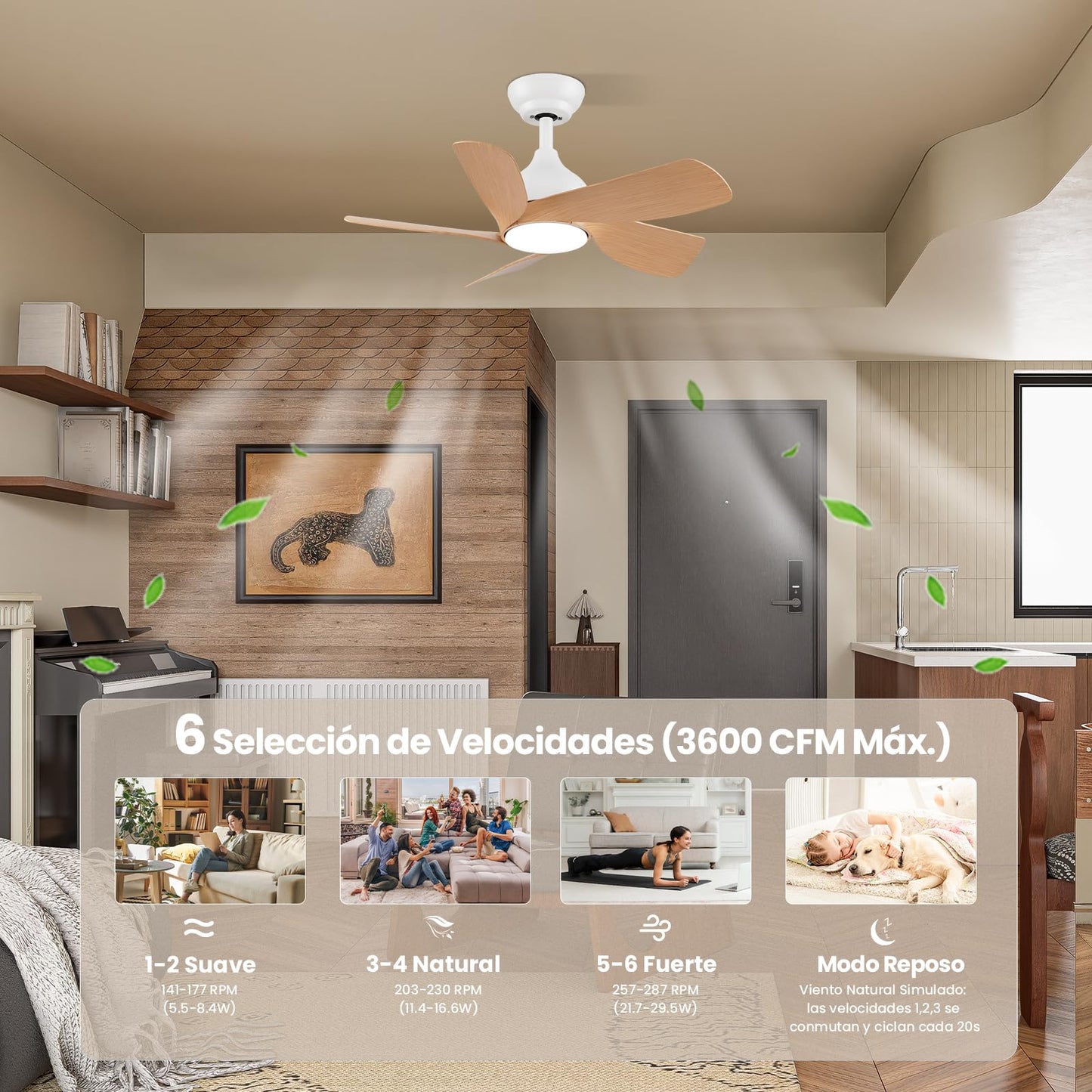 CJOY Ventilador de Techo con Luz Silencioso, 76 cm Madera Ventilador de Techo con Luz y Mando, 6 Velocidades, Memoria 3 CCT, Regulable, Reversible CC, Temporizador, Modo Sleep, Para Dormitorio